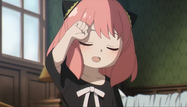 SPY x FAMILY Chapter 65