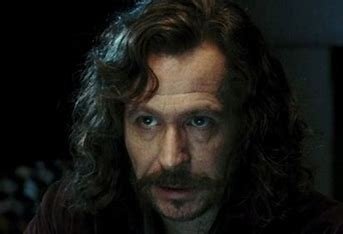 how-is-sirius-black-related-to-harry-potter