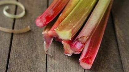 is-rhubarb-related-to-celery