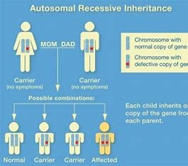 the-disease-phenylketonuria-is-related-chiefly-to-abnormal-metabolism-of-____.