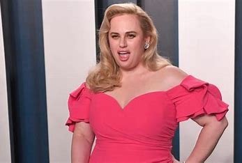 is-rebel-wilson-related-to-brian-wilson