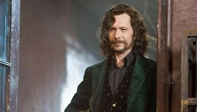 how-is-sirius-related-to-harry