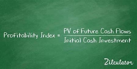 the-profitability-index-is-most-closely-related-to-which-one-of-the-following?