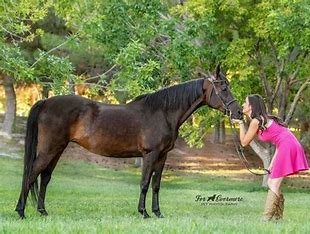 is-sasha-loftis-related-to-brian-loftis