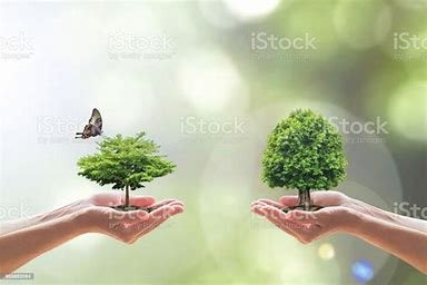 how-is-resilience-related-to-ecosystet-diversity