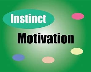 instinct-theory-is-related-to-the-perspective-of-psychology.