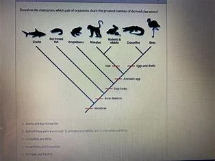 which-pair-of-organisms-is-most-closel-related-to-primates?