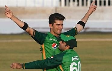 is-shaheen-afridi-related-to-shahid-afridi
