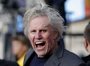 is-mike-busey-related-to-gary-busey