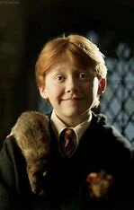 how-is-professor-weasley-related-to-ron