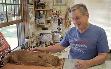 is-george-strait-related-to-jeff-bezos