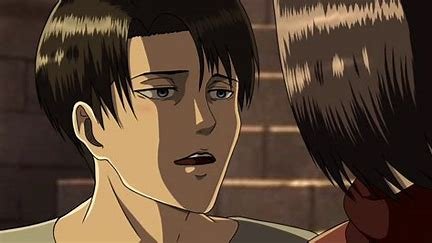is-levi-ackerman-related-to-mikasa