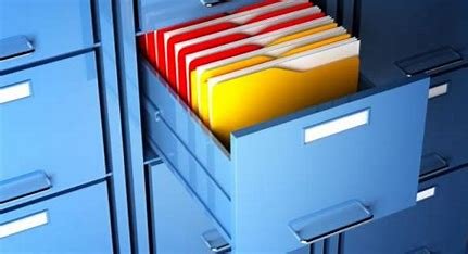 the-central-organizing-tenant-of-the-file-oriented-approach-is-to-store-data-related-to