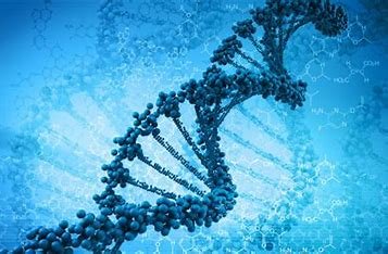 which-question-is-most-closely-related-to-the-field-of-biology