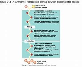 how-is-reproductive-isolation-related-to-the-formation-of-new-species