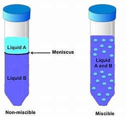 how-is-the-miscibility-of-a-liquid-with-water-related-to-the-liquid's-polarity?