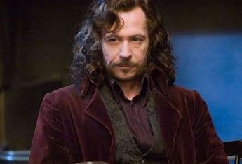 how-is-harry-potter-related-to-sirius-black