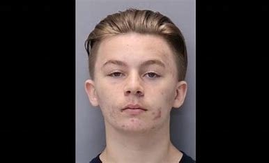 is-aiden-fucci-related-to-dr-fucci