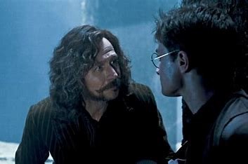 is-malfoy-related-to-sirius-black