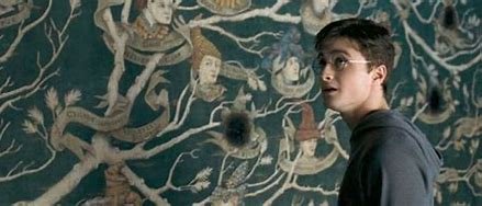 is-harry-related-to-sirius