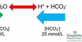 based-on-diagram-(i),-write-an-equation-showing-how-δ𝐻𝐴-is-related-to-δ𝐻𝐵-and-δ𝐻𝐶.
