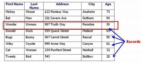 a-collection-of-related-records-in a-database-is-referred-to-as-a