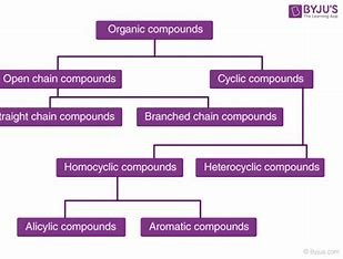 how-did-organic-compounds-get-their-name-how-is-the-word-related-to-its-meaning