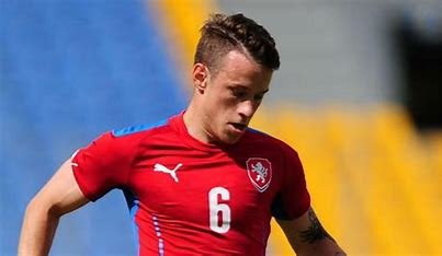 is-adam-sykora-related-to-petr-sykora