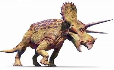what-animal-is-related-to-a-triceratops