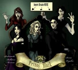 how-is-sirius-black-related-to-bellatrix