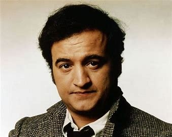 is-rob-belushi-related-to-john-belushi