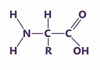 which-of-the-following-is-directly-related-to-a-single-amino-acid?