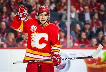 is-freddy-gaudreau-related-to-johnny-gaudreau