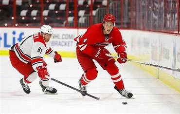 is-haydn-fleury-related-to-marc-andre-fleury