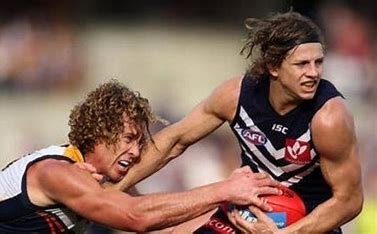 according-to-fyfe-and-kane,-conduct-related-probationary-failures-is: