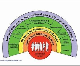 how-is-social-inequality-related-to-health-apex