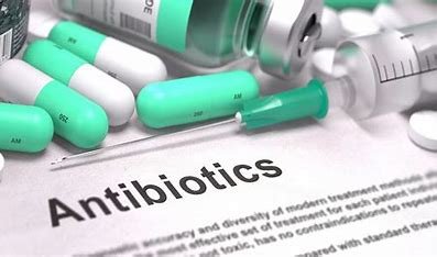 which-issue-related-to-antibiotic-use-is-an-increased-risk-for-the-older-adult
