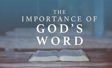 is-dane-witherspoon-related-to-reese-witherspoon