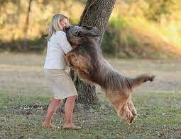 jamie-donelson-cause-of-death