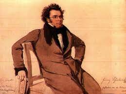 franz-schubert-cause-of-death