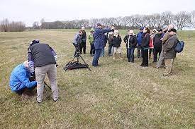 josh-bay-cause-of-death